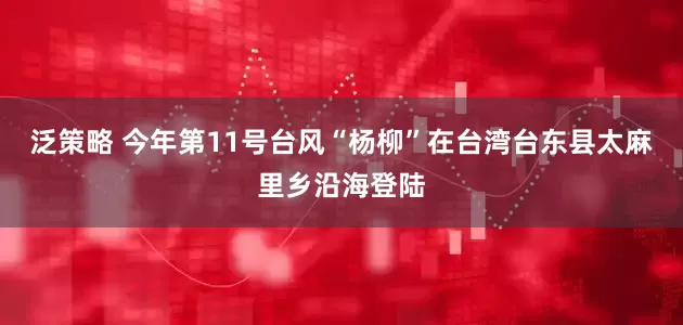 泛策略 今年第11号台风“杨柳”在台湾台东县太麻里乡沿海登陆