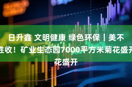 日升鑫 文明健康 绿色环保｜美不胜收！矿业生态园7000平方米菊花盛开